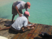 Pescatori che tagliano il pesce