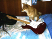 Leon e la mia Stratocaster