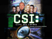 CSI - Cipo Sei Infame