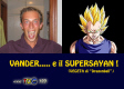 Vander e il SuperSayan....